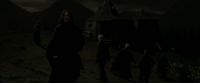 EdP-Potterish12943.jpg
