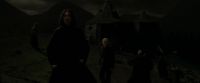 EdP-Potterish12944.jpg