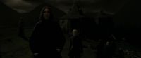 EdP-Potterish12945.jpg