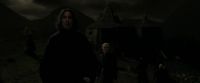 EdP-Potterish12946.jpg