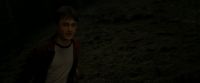 EdP-Potterish12955.jpg