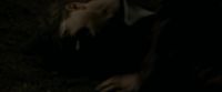 EdP-Potterish12970.jpg