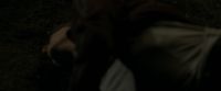 EdP-Potterish13010.jpg
