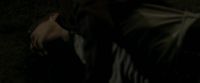 EdP-Potterish13013.jpg