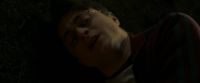 EdP-Potterish13042.jpg