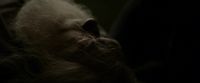EdP-Potterish13103.jpg