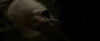 EdP-Potterish13104.jpg