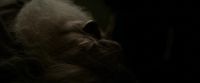 EdP-Potterish13106.jpg