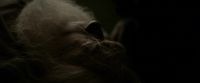 EdP-Potterish13108.jpg