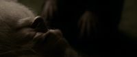 EdP-Potterish13129.jpg