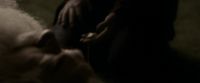 EdP-Potterish13132.jpg