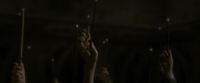 EdP-Potterish13233.jpg