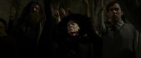 EdP-Potterish13241.jpg