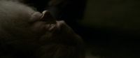 EdP-Potterish13245.jpg