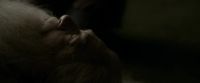 EdP-Potterish13247.jpg