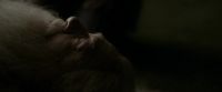 EdP-Potterish13248.jpg