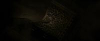 EdP-Potterish13254.jpg