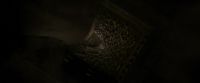 EdP-Potterish13256.jpg