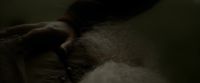 EdP-Potterish13283.jpg