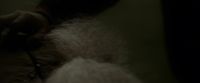 EdP-Potterish13284.jpg