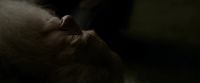 EdP-Potterish13299.jpg