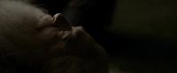 EdP-Potterish13300.jpg