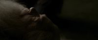 EdP-Potterish13301.jpg