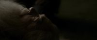 EdP-Potterish13303.jpg