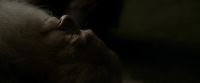 EdP-Potterish13304.jpg