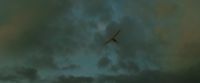 EdP-Potterish13707.jpg