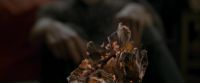 EdP-Potterish1390.jpg