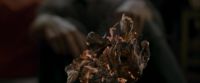 EdP-Potterish1391.jpg