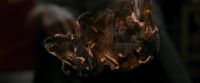 EdP-Potterish1398.jpg