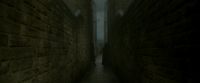 EdP-Potterish1426.jpg