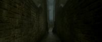 EdP-Potterish1427.jpg