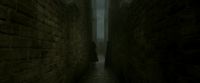 EdP-Potterish1433.jpg