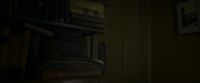 EdP-Potterish1475.jpg