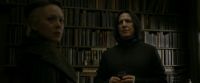 EdP-Potterish1590.jpg