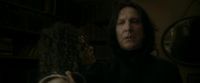 EdP-Potterish1727.jpg