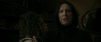 EdP-Potterish1728.jpg