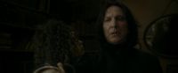 EdP-Potterish1729.jpg