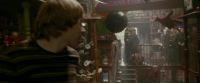 EdP-Potterish1802.jpg