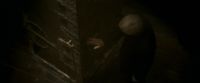EdP-Potterish2073.jpg