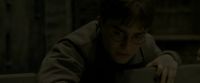 EdP-Potterish2081.jpg