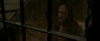 EdP-Potterish2111.jpg