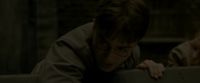 EdP-Potterish2120.jpg
