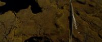 EdP-Potterish2270.jpg