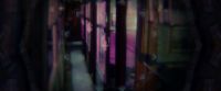 EdP-Potterish2555.jpg
