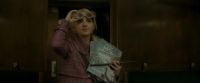 EdP-Potterish2597.jpg