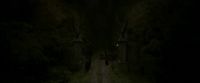 EdP-Potterish2613.jpg